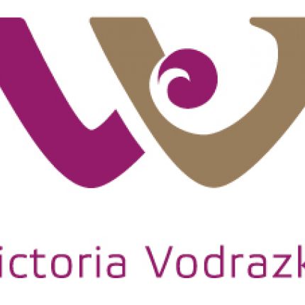 Logo da VV Vitalcheck