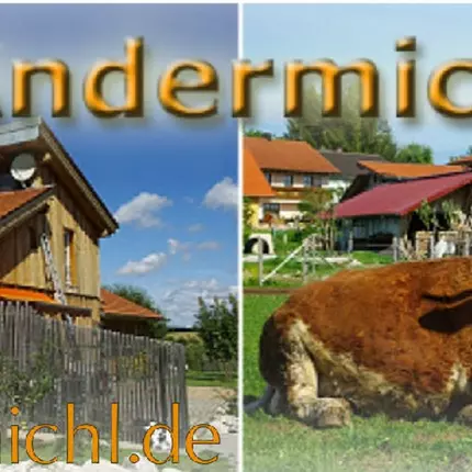 Logo da Andermichlhof