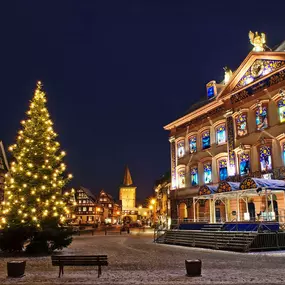 Bild von Holiday Inn Express Offenburg by IHG