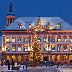 Bild von Holiday Inn Express Offenburg by IHG