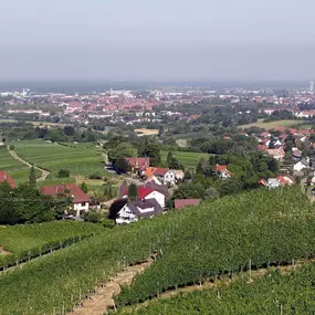 Bild von Holiday Inn Express Offenburg by IHG