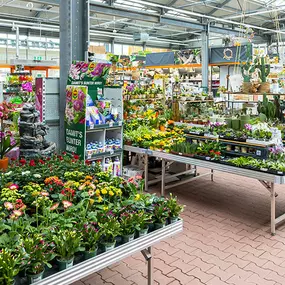 OBI Gartencenter Remscheid