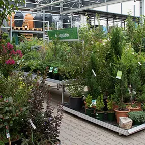 OBI Gartencenter Schwabhausen