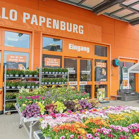 OBI Markt-Eingang Papenburg