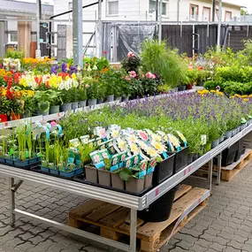 OBI Gartencenter Geislingen an der Steige