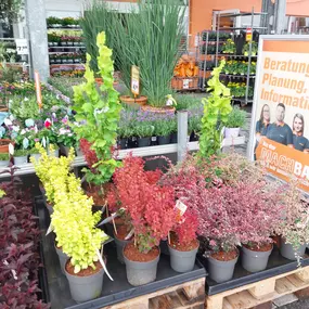 Bild von OBI Gartencenter Wuppertal-Steinbeck