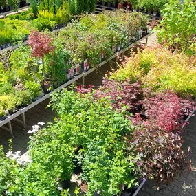 Bild von OBI Gartencenter Wuppertal-Steinbeck