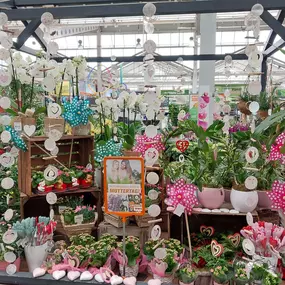 Bild von OBI Gartencenter Wuppertal-Steinbeck