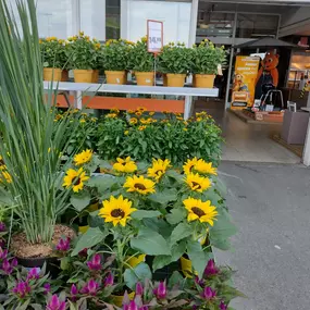 Bild von OBI Gartencenter Wuppertal-Steinbeck