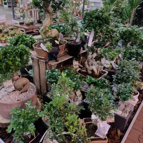 Bild von OBI Gartencenter Wuppertal-Steinbeck