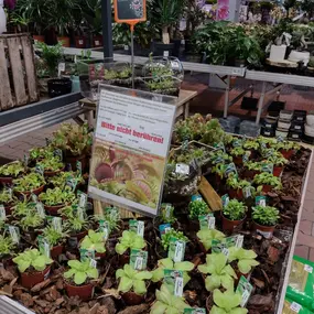 Bild von OBI Gartencenter Wuppertal-Steinbeck