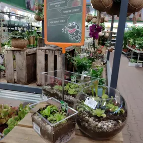 Bild von OBI Gartencenter Wuppertal-Steinbeck