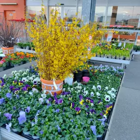 Bild von OBI Gartencenter Wuppertal-Steinbeck