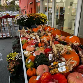 Bild von OBI Gartencenter Wuppertal-Steinbeck