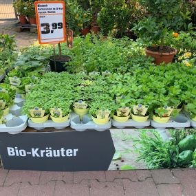 OBI Pößneck - Kräuter und Gemüse für Selbstversorger