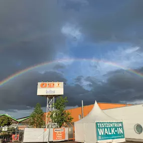 Eine Vielzahl von Balkonpflanzen & Terrassenpflanzen finden Sie in Ihrem OBI Markt Pößneck