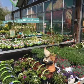 Eine Vielzahl von Balkonpflanzen & Terrassenpflanzen finden Sie in Ihrem OBI Markt Pößneck