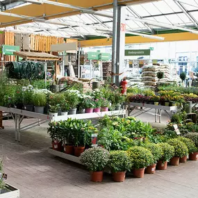 OBI Gartencenter Sangerhausen