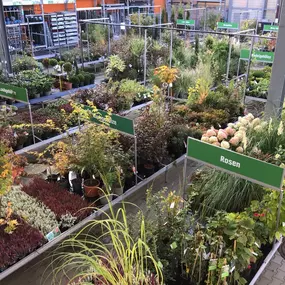 Gartenämter OBI Markt Ebersbach