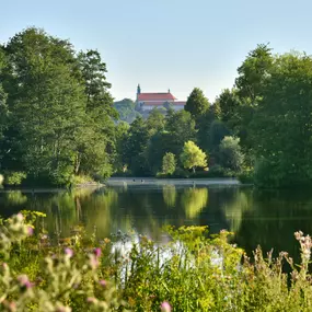 Bild von Holiday Inn Express Fulda, an IHG Hotel