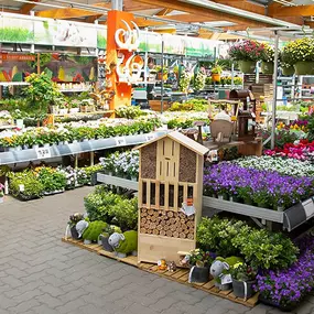 OBI Gartencenter Neustrelitz