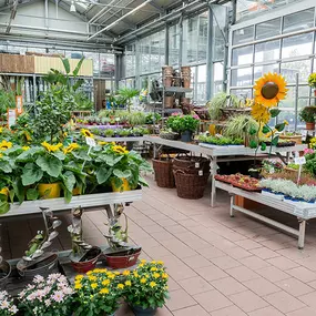 OBI Gartencenter Nürnberg Äußere Bayreuther Straße