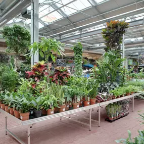 Bild von OBI Gartencenter Limburg