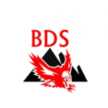 Logotipo de BDS Badische Detektei und Sicherheitsdienst Mohamed Abdalla