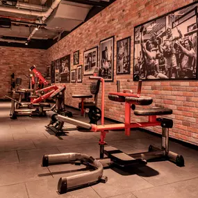 Bild von Gold's Gym Fitnessstudio Herne