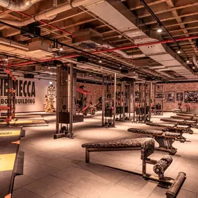 Bild von Gold's Gym Fitnessstudio Herne