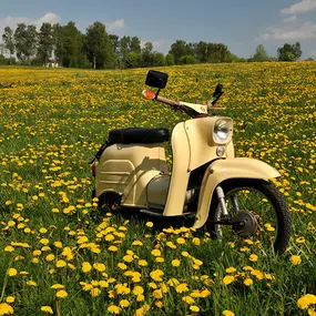 Bild von KFZ-Service Meißner