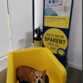 Bild von HUK-COBURG Versicherung Ebru Canel in Mainz - Hartenberg/Münchfeld