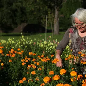 Bild von Blumen-Gärtnerei Müller