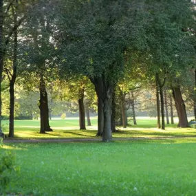 Bild von Reichels Parkhotel