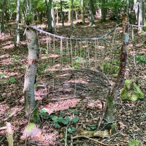 Bild von Johanniter-Waldkindergarten Lohwaldspechte