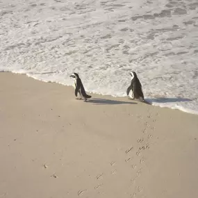 Naturlandschaft_  EKH Reisedienst GmbH