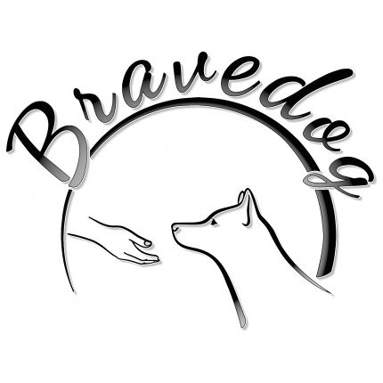 Logotipo de Hundeschule Bravedog