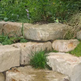 Garten- und Landschaftsbau Frank Lemme-Roscher Köln