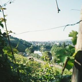 Bild von Weingut der Stadt Stuttgart