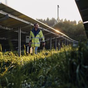 Ein Bayernwerk-Techniker läuft im Sonnenschein durch eine Photovoltaik-Freiflächenanlage