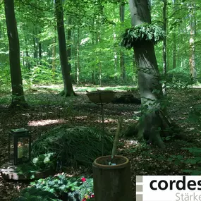 Bild von Friedrich Cordes Bestattungen e.K. Ronnenberg-Empelde