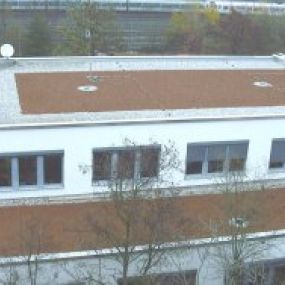 Dachbegrünung - Spengler und Dachdecker Köchel GmbH München