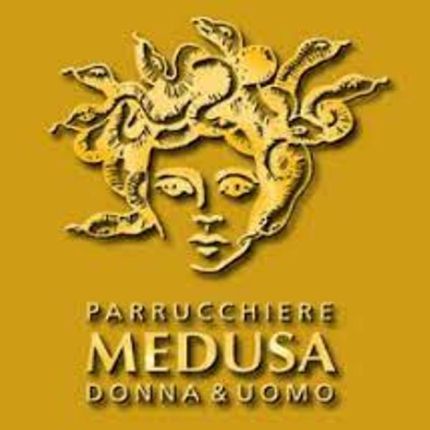 Logo da Friseur Medusa