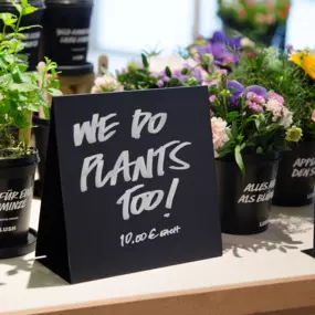 Bild von LUSH Cosmetics München