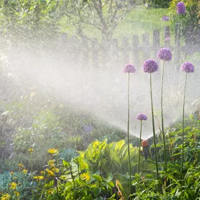 Bild von Broxtermann Garten- und Landschaftsbau GmbH & Co. KG