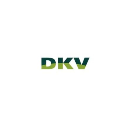 Logotyp från DKV Schindler & Schindler GbR