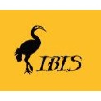 Logo de IBIS Interkulturelle Arbeitsstelle e. V.