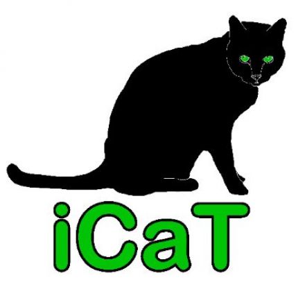 Logo fra intercultural Coaching and Training (iCaT)