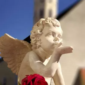 Bild von Abschied Bestattungen