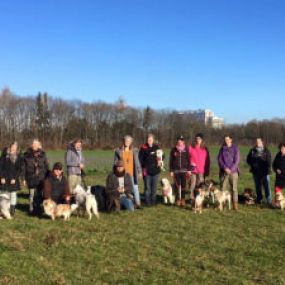 Walkshops - Hundeausbildung | teamtraining Mensch & Hund | München